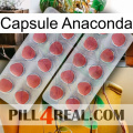 Anaconda Capsule 19